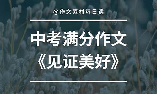 见证作文800字高中生_见证作文800字