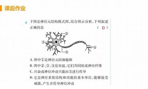 神经系统的组成教案_神经系统的组成教案学情分析