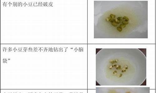 绿豆芽观察记录表7天_绿豆芽观察记录表7天心得体会