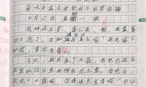 观察作文300字讲解_观察作文300字讲解视频