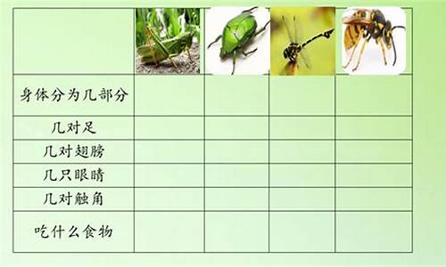 观察昆虫的作文_观察昆虫的作文200字